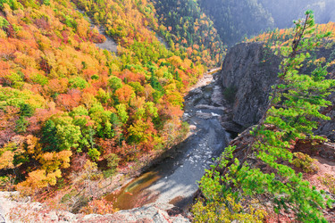 Similar image 464362