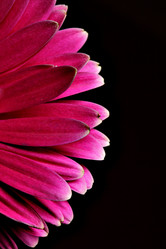 Similar image 464369