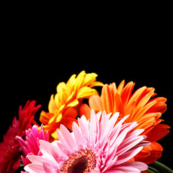 Similar image 464374