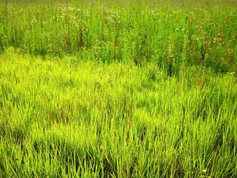 Similar image 464389