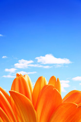 Similar image 464392