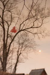 Similar image 464393