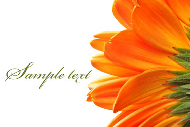 Similar image 464395