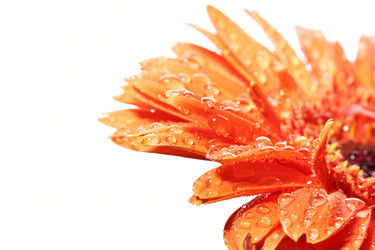 Similar image 464397