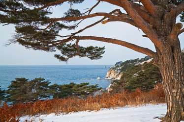 Similar image 464399