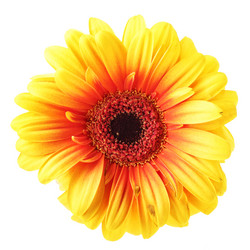 Similar image 464402