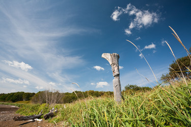 Similar image 464433