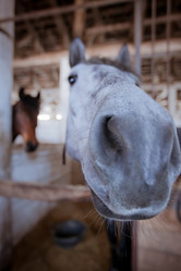 Similar image 464468