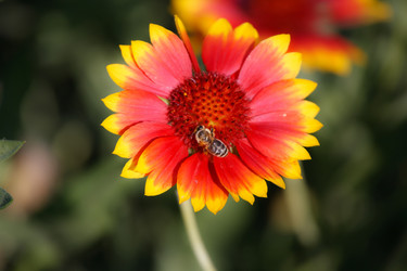 Similar image 464489