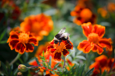 Similar image 464491