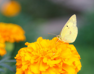 Similar image 464514