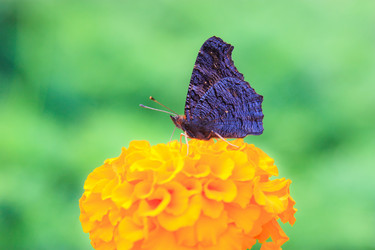 Similar image 464517