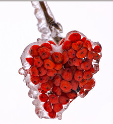 Similar image 464584