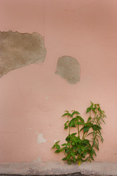 Similar image 464603