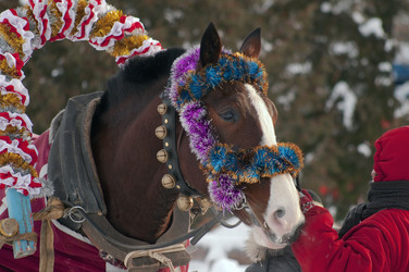 Similar image 464608