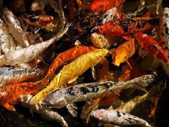 Similar image 464776