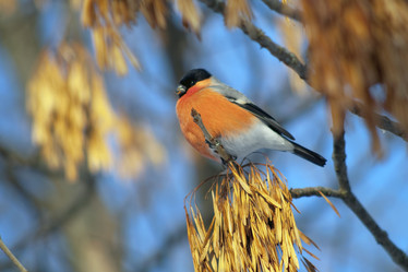 Similar image 464788