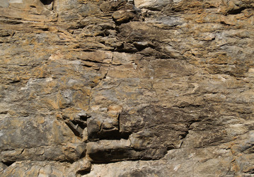 Similar image 464842