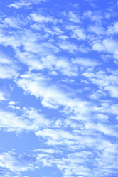 Similar image 464877