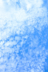 Similar image 464878