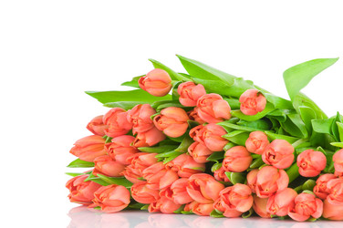 Similar image 464879