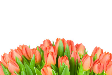 Similar image 464887