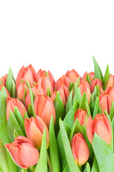 Similar image 464900