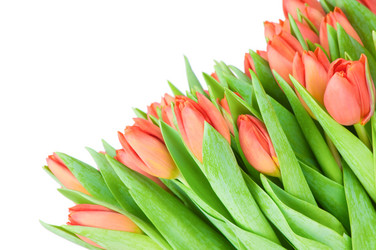 Similar image 464903