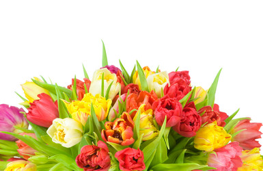 Similar image 464934