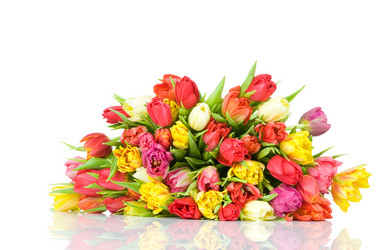 Similar image 464938