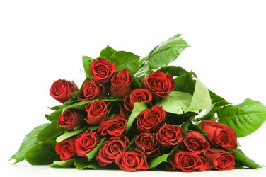 Similar image 464981