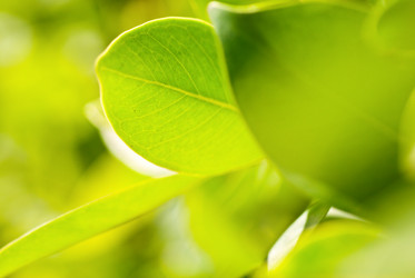 Similar image 465116