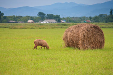 Similar image 465148