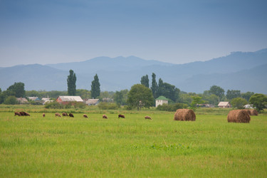 Similar image 465150