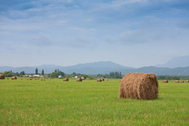 Similar image 465154