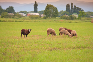 Similar image 465156