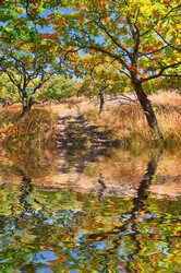 Similar image 465169