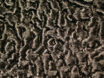 Similar image 465171