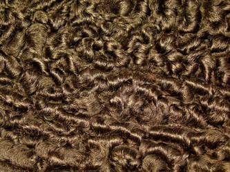 Similar image 465174