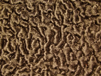 Similar image 465176