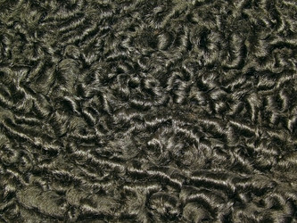 Similar image 465177