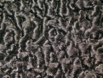 Similar image 465179