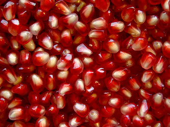 Similar image 465183