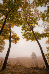 Similar image 465191