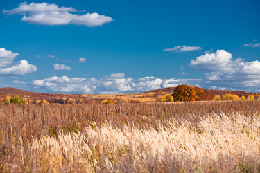 Similar image 465197