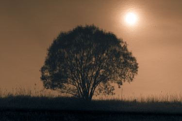 Similar image 465220