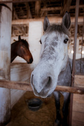 Similar image 465255