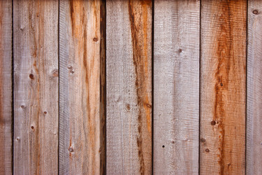 Similar image 465269