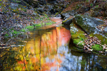 Similar image 465270