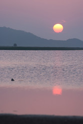 Similar image 465273